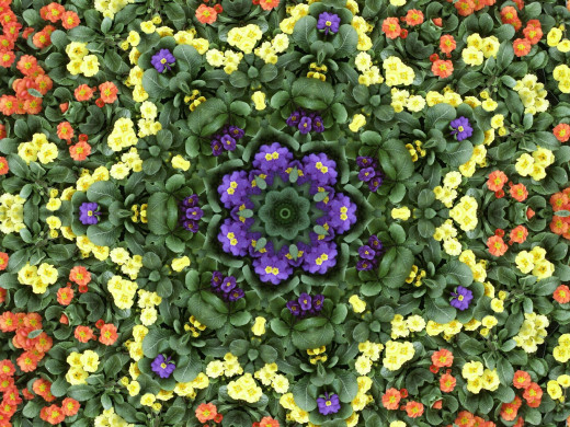 394268 (a): :2400x1800